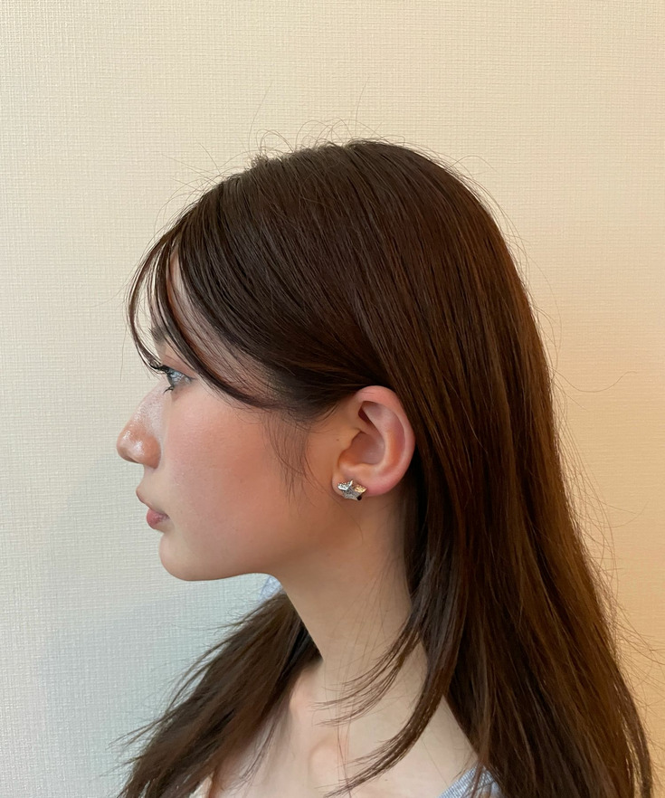 スターノンホールピアス 詳細画像 1