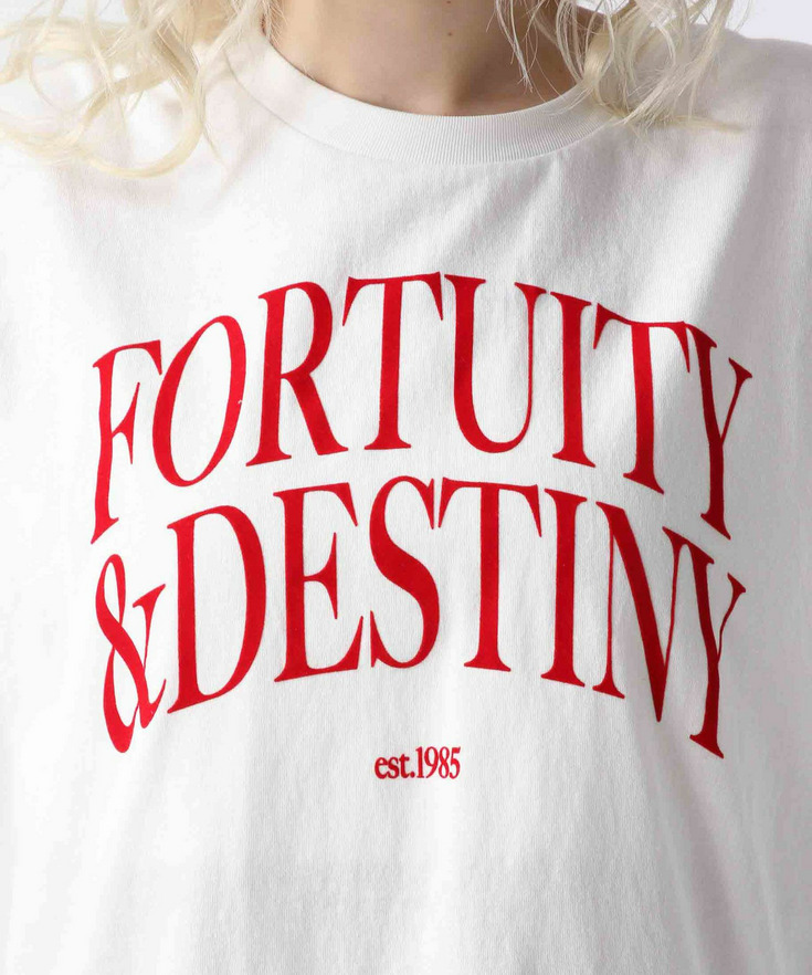 【先行予約】BIGロゴTシャツ 詳細画像 22