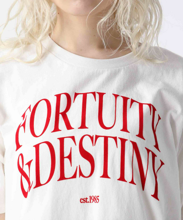 BIGロゴTシャツ 詳細画像 28