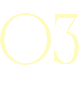 03